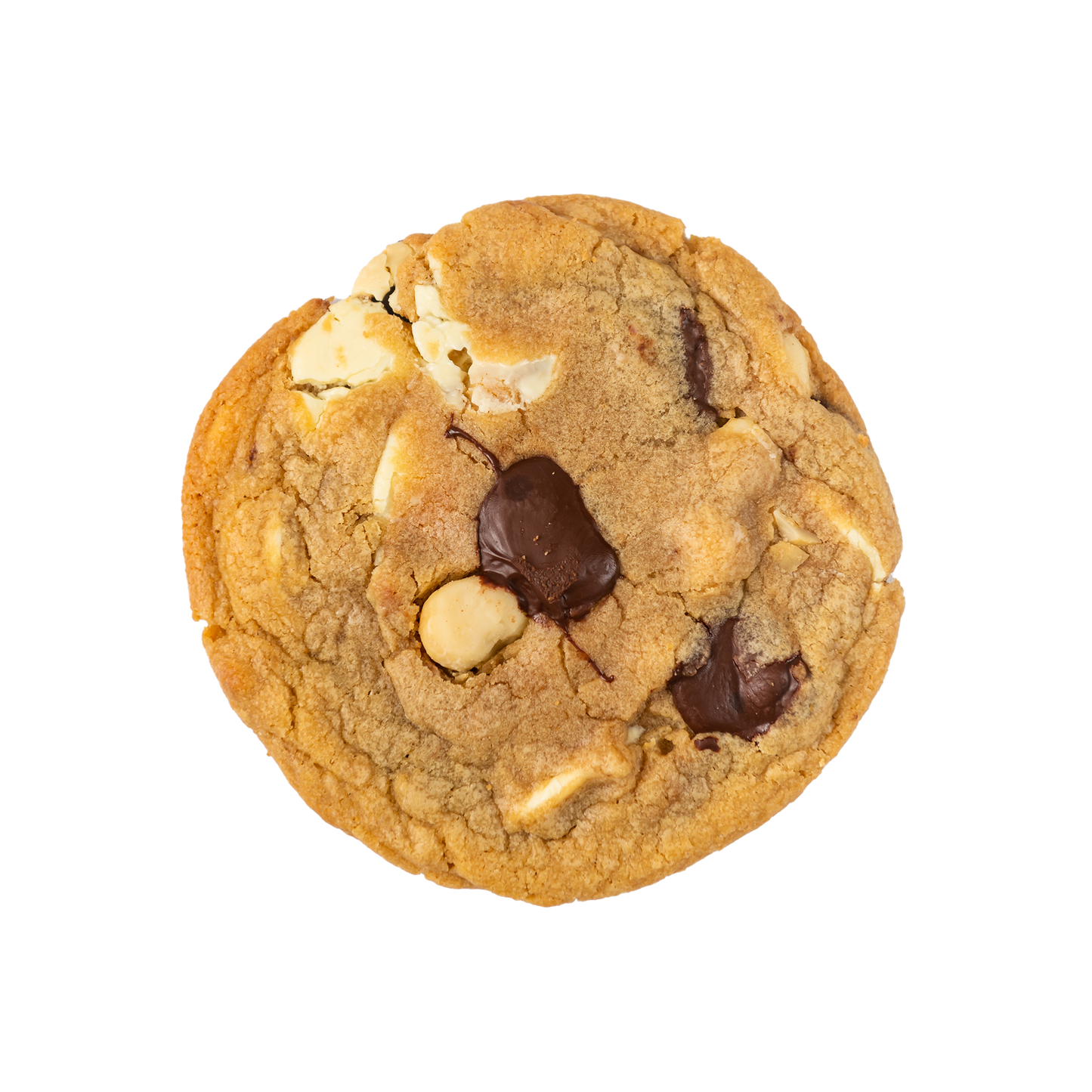 Individual Wholesale - Zebra Macadamia