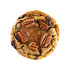 The Georgia Pecan Turtle (Dozen)